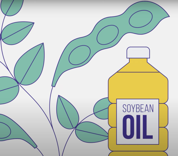 A still from FDA's video on GMOs: cartoon soybeans and a bottle labeled "soybean oil"